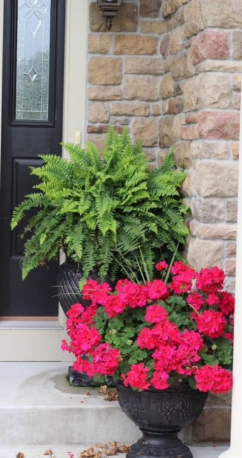 Ideas from 20 planters from my neighborhood! -   19 plants Beautiful planters ideas