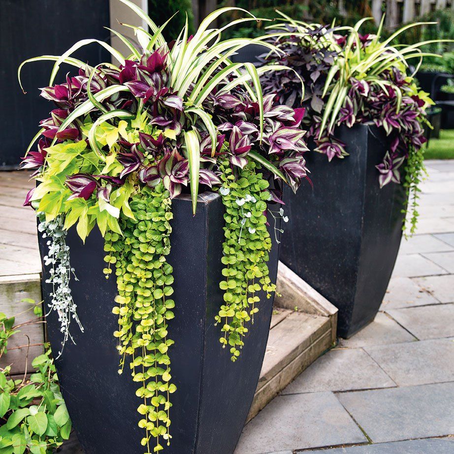 Planters: Gardening For Beginners -   19 plants Beautiful planters ideas