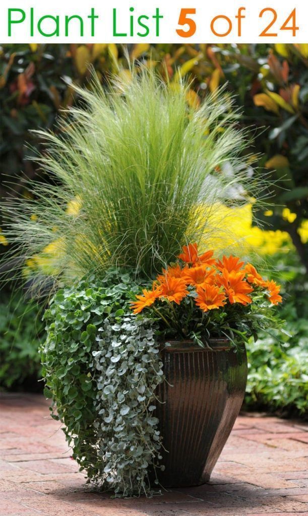 24 Stunning Container Garden Planting Designs -   19 plants Beautiful planters ideas