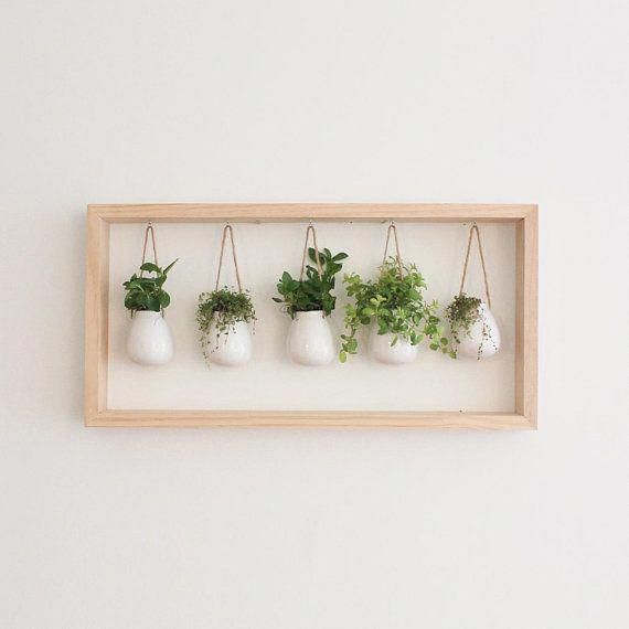 Indoor Succulent Garden in Wooden Frame | Wall Mount Planter | Air Plant Gift | Hanging Planter | Pot for Indoor Plants | Mother's Day Gift -   19 plants Beautiful planters ideas