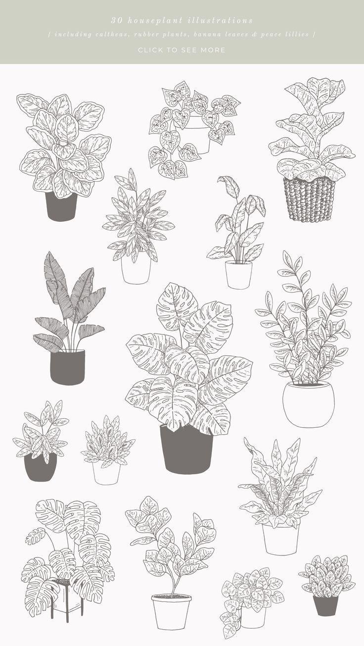 14 plants Drawing tattoo ideas