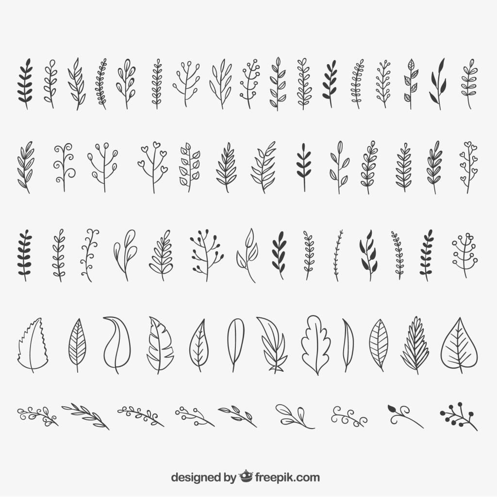 30 Ways to Draw Plants & Leaves -   14 plants Drawing tattoo ideas