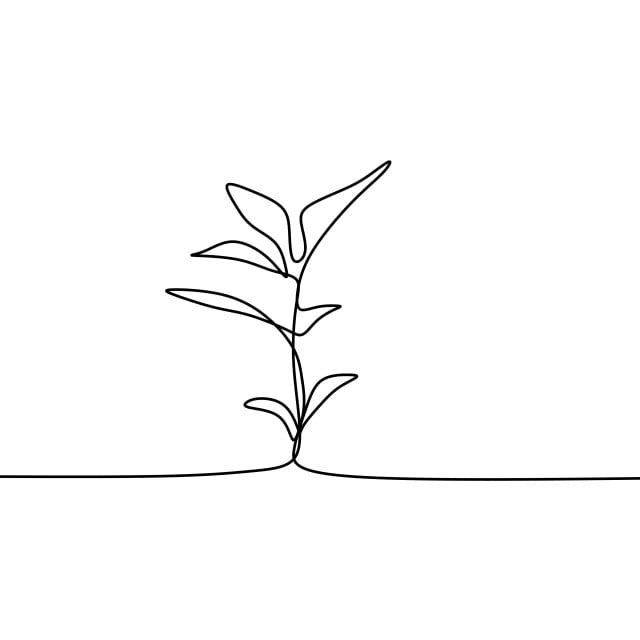 Plant Growing Continuous Line Art Drawing Vector Illustration, Doodle, Abstract, Plant PNG and Vector with Transparent Background for Free Download -   14 plants Drawing tattoo ideas