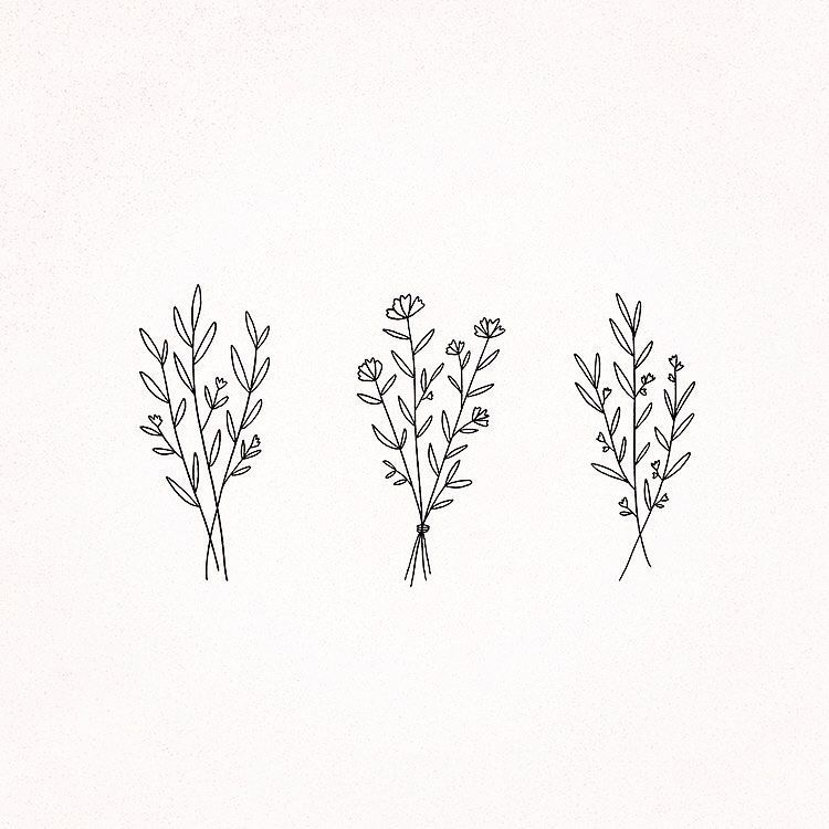 Little Paper Squares on Instagram: “I love this simple botanical image by @minnamaydesign I might be obsessed with her Instagram feed now рџ?Ќрџ?Ќрџ?Ќ #littlepapersquares…” -   14 plants Drawing tattoo ideas