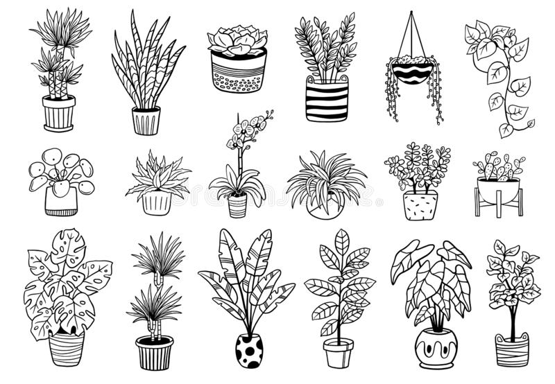 Set Of Cute Indoor And Outdoor Plants In Pots. Stock Vector - Illustration of black, flowerpot: 146787405 -   14 plants Drawing tattoo ideas