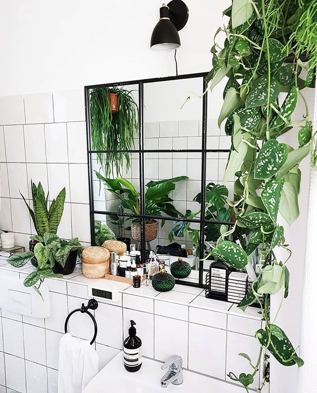 8 Beautiful Hanging Plants Perfect For Apartments - TheFab20s -   16 plants Home fun ideas