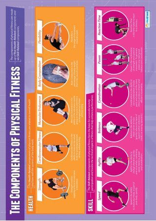 The Components of Physical Fitness | PE Educational School Posters -   18 physical fitness Poster ideas