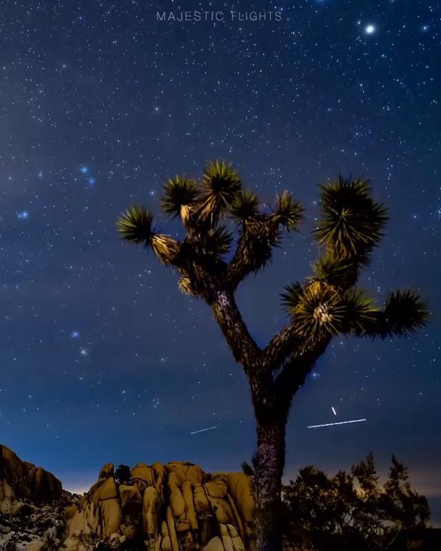 Time lapse at Joshua Tree National Park рџЊЊ -   19 holiday Summer national parks ideas