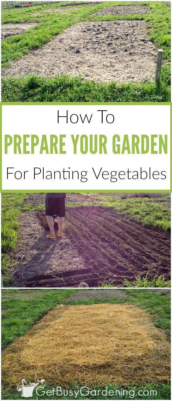 How To Prepare A Garden Bed For Planting Vegetables - Get Busy Gardening -   19 planting Vegetables backyards ideas