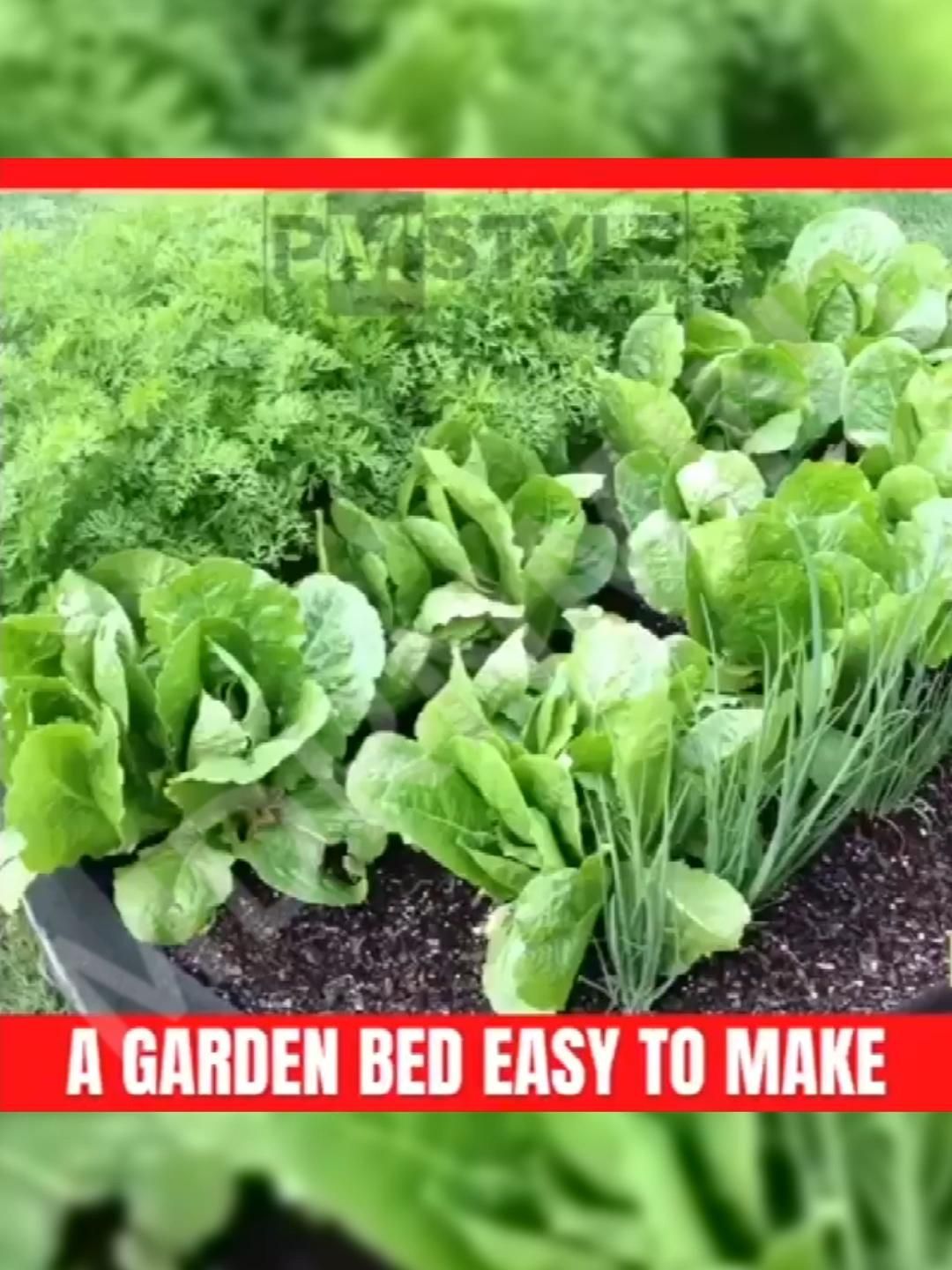 рџҐ°рџЌ…My new favorite at home activity! -   19 planting Vegetables backyards ideas