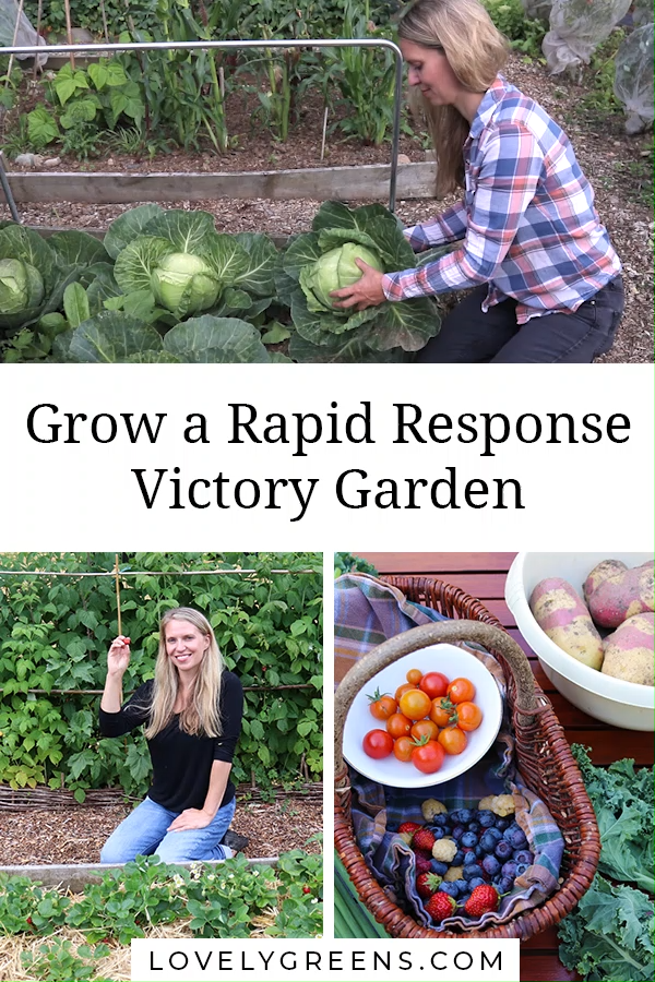 Grow a Rapid Response Victory Garden -   19 planting Vegetables backyards ideas