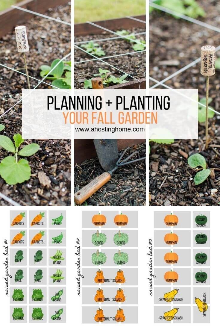 Planning and Planting Our Fall Garden | A Hosting Home -   19 planting Vegetables backyards ideas