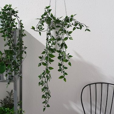 FEJKA in/outdoor, hanging, Artificial potted plant - IKEA -   19 plants DIY fausse ideas