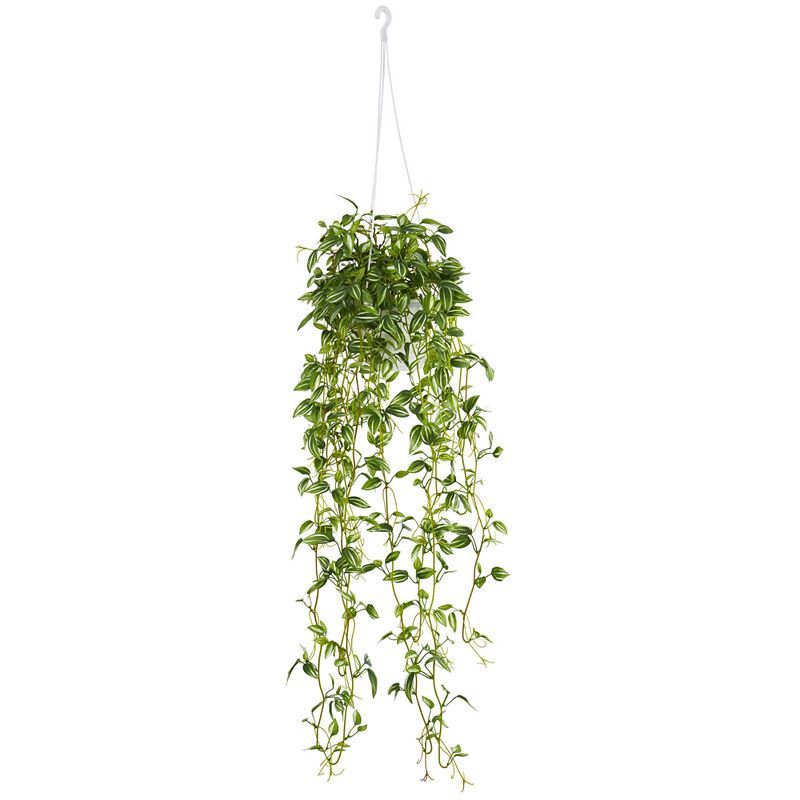 17 Hanging Plants That Are Perfect Additions to Your Home -   19 plants DIY fausse ideas