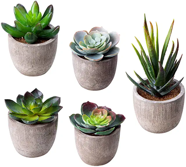 faux decorative plants: Home & Kitchen -   19 plants DIY fausse ideas