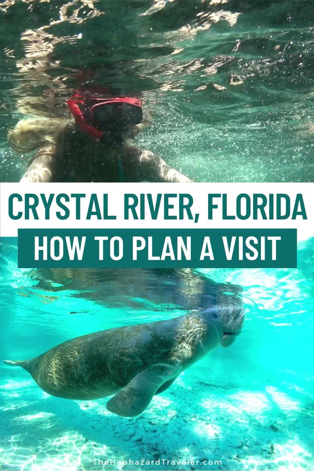 Swimming with Florida Manatees in Crystal River: Florida Travel Guide | Florida Manatees Springs -   24 travel destinations USA videos ideas