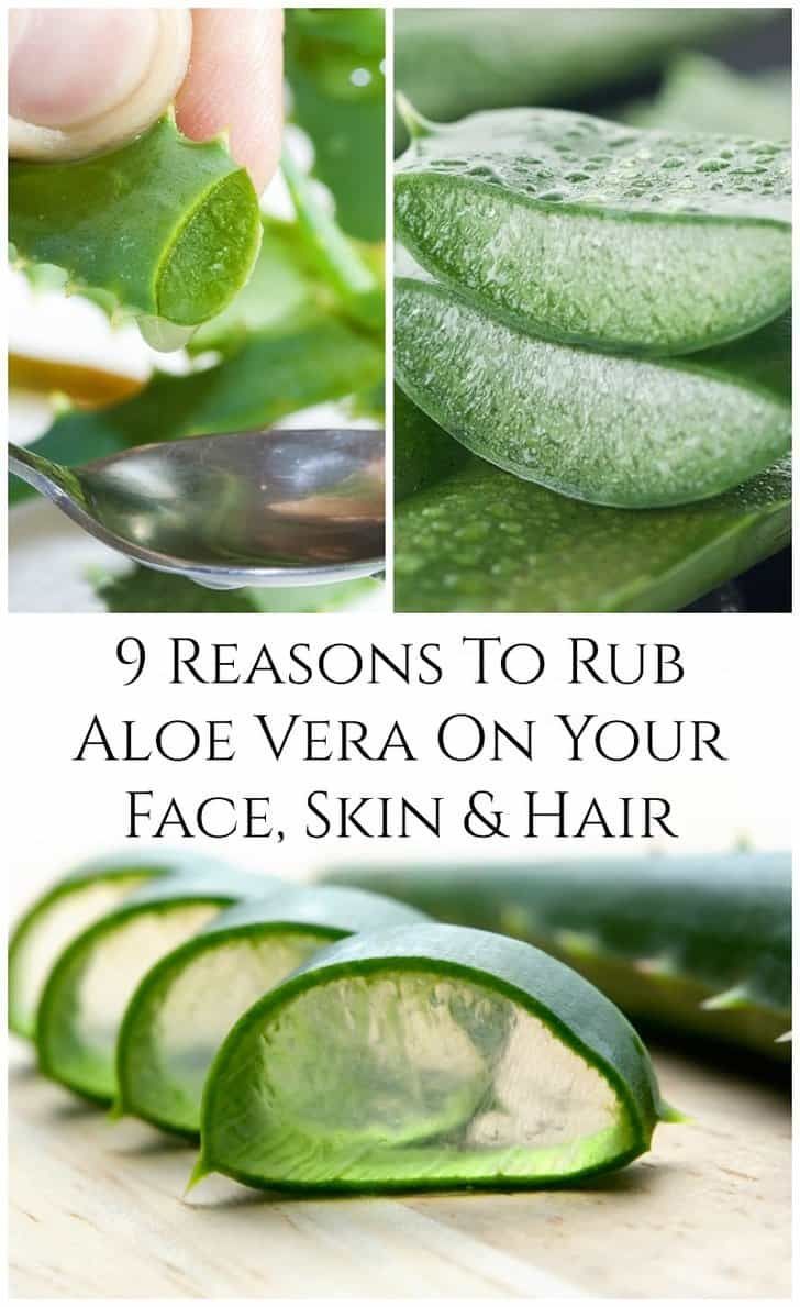 9 Reasons To Rub Aloe Vera On Your Face, Skin & Hair + 20 Recipes -   beauty Hacks aloe vera