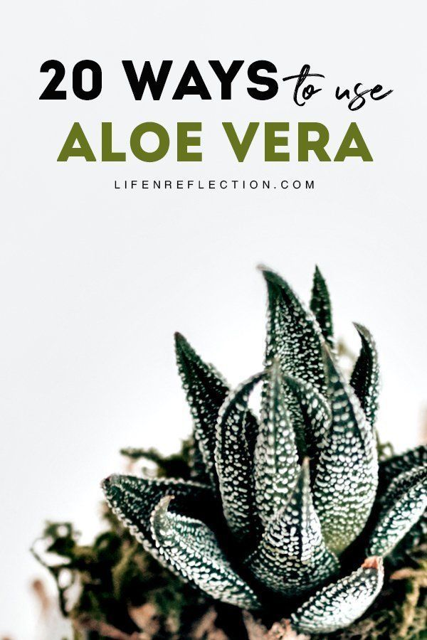 20 Aloe Vera Uses for Skin and Hair -   beauty Hacks aloe vera