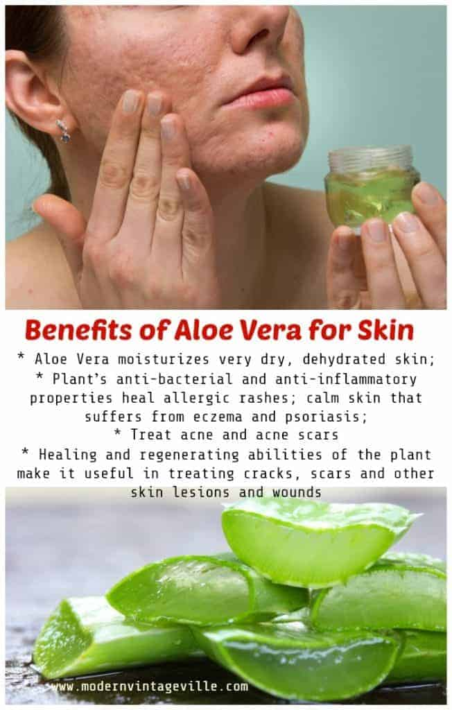 7 Amazing Homemade Beauty Products with Aloe Vera -   beauty Hacks aloe vera