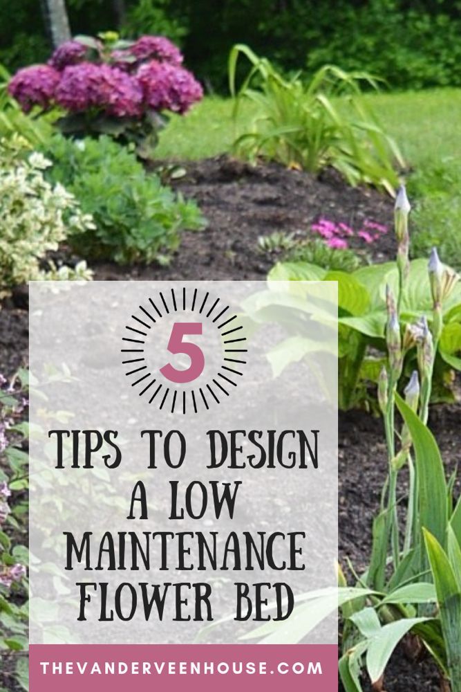 The best tips for designing and planting a low maintenance flower bed • The Vanderveen House -   garden design Low Maintenance