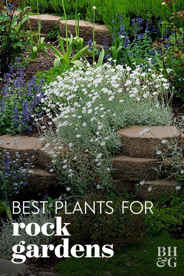 Pin on The Great Outdoors -   garden design Low Maintenance