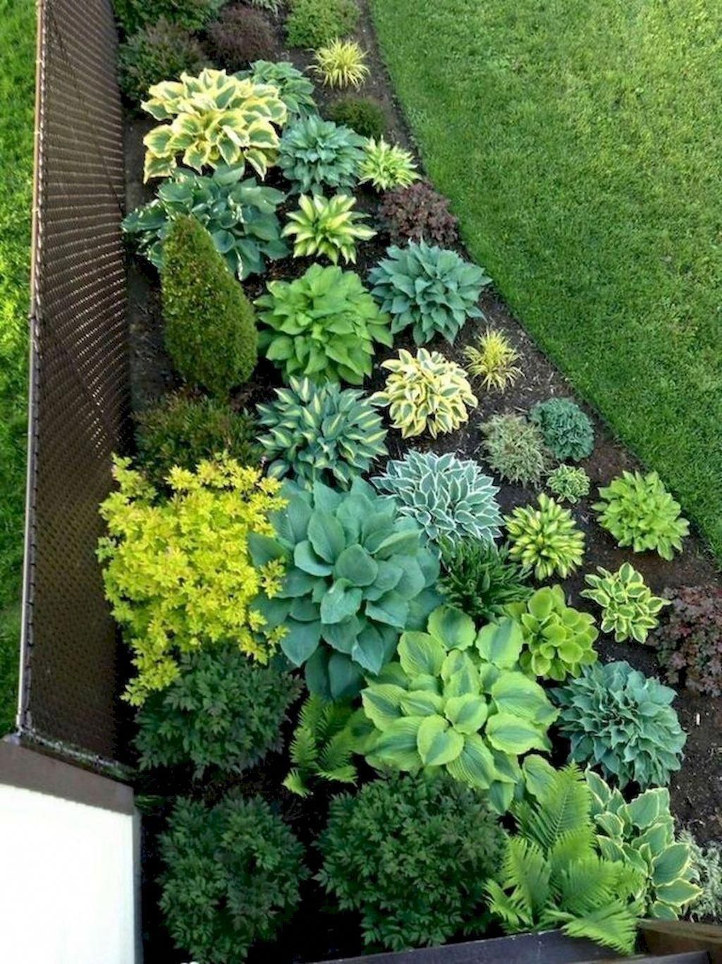 7 Charming Low Maintenance Garden Ideas #basicgardendesign  Effektive Bilder, di... -   garden design Low Maintenance