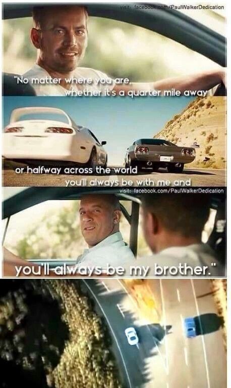 Fast And Furious 7 -   13 paul walker quotes fast and furious ideas
