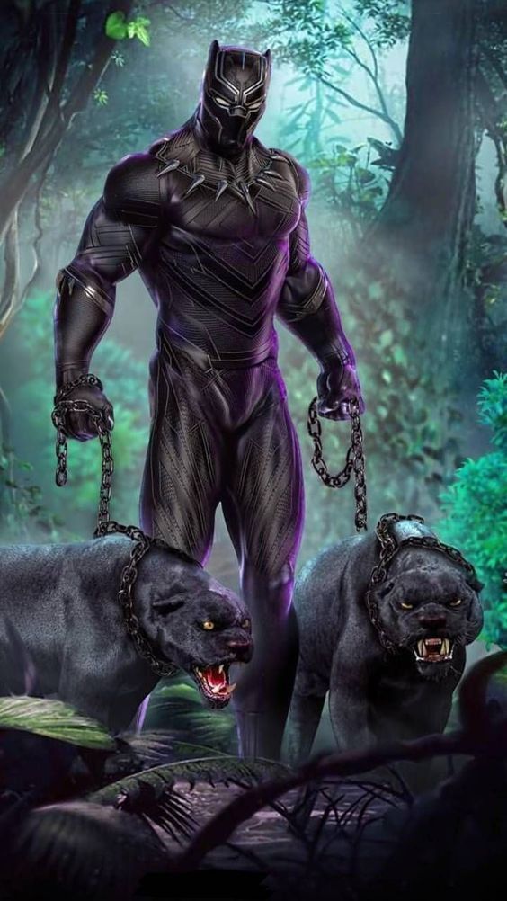15 black panther ideas