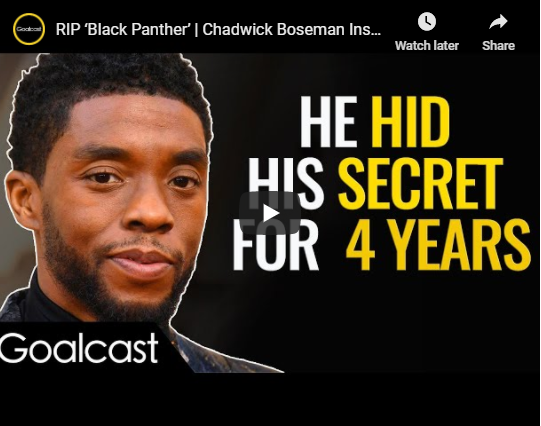 RIP ‘Black Panther' -   15 black panther ideas