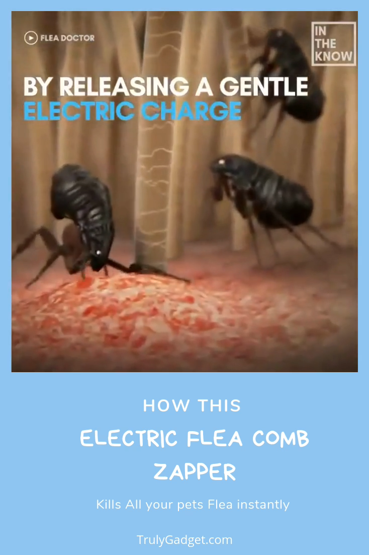 18 how to get rid of fleas in house ideas