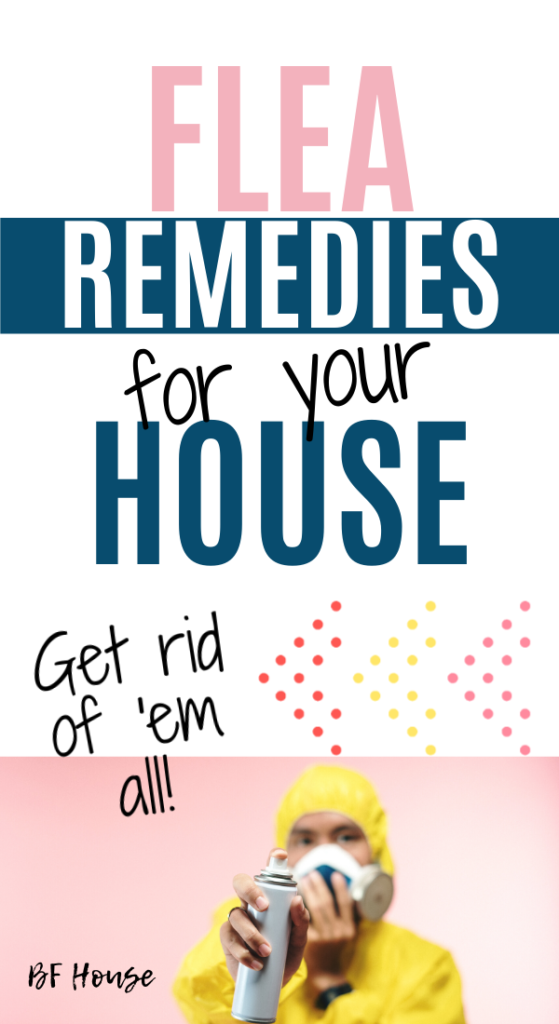 The Best Way To Get Rid Of Fleas In The House – Babies&Fur House -   18 how to get rid of fleas in house ideas