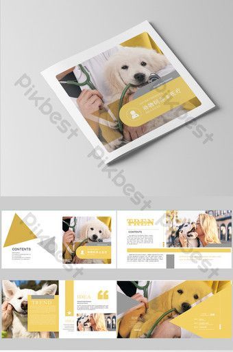 Complete set of fashionable pet animal beauty and medical Brochure design | AI Free Download - Pikbest -   beauty Design brochure