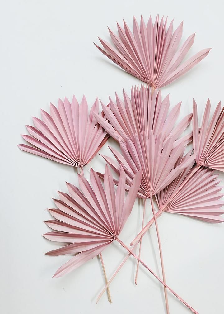 Pack of 5 - Desert Pink Sun Palms -   diy Decoracion papel