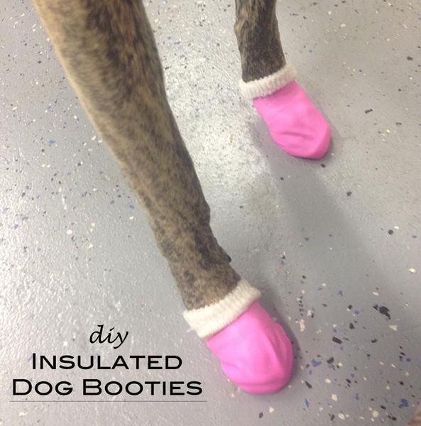 DIY Dog Booties -   diy Dog shoes
