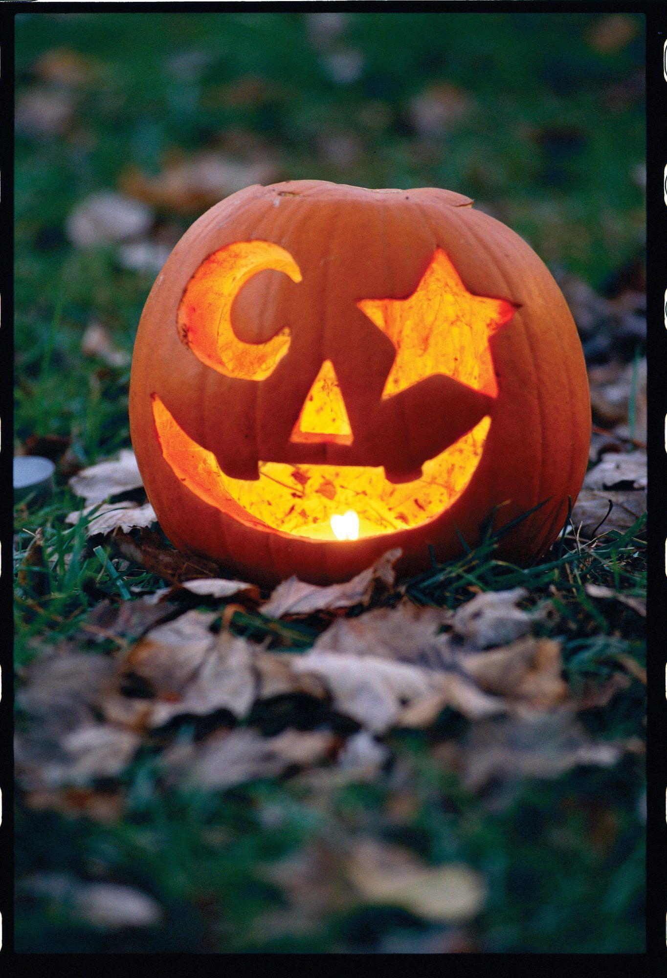 33 Pumpkin Carving Ideas -   17 creative and easy for pumkin carving ideas