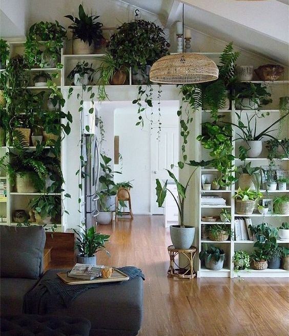 Adopter une d?co Urban Jungle avec des plantes vertes d'int?rieur ?cologiques | -   19 diy Interieur plants ideas