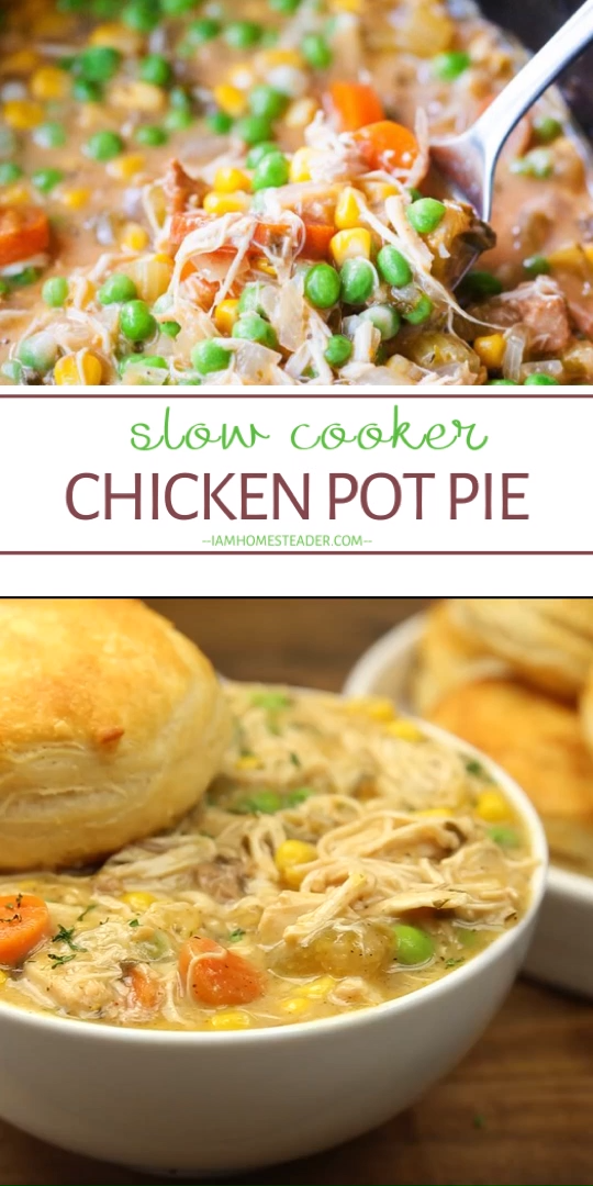 SLOW COOKER CHICKEN POT PIE -   18 dinner recipes for two chicken ideas