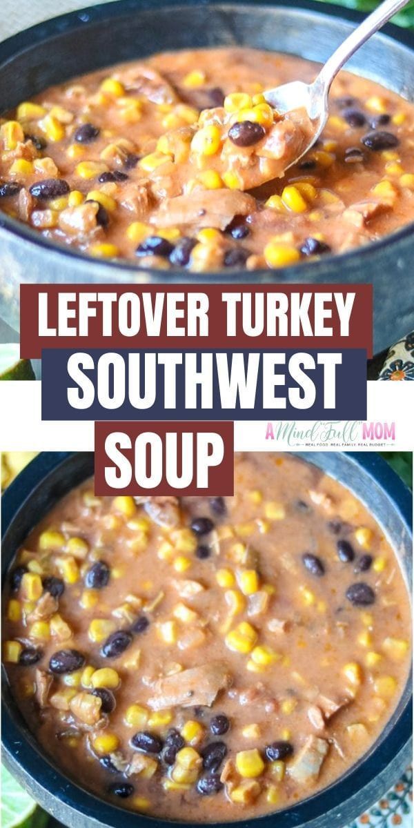 19 leftover turkey recipes healthy soup ideas