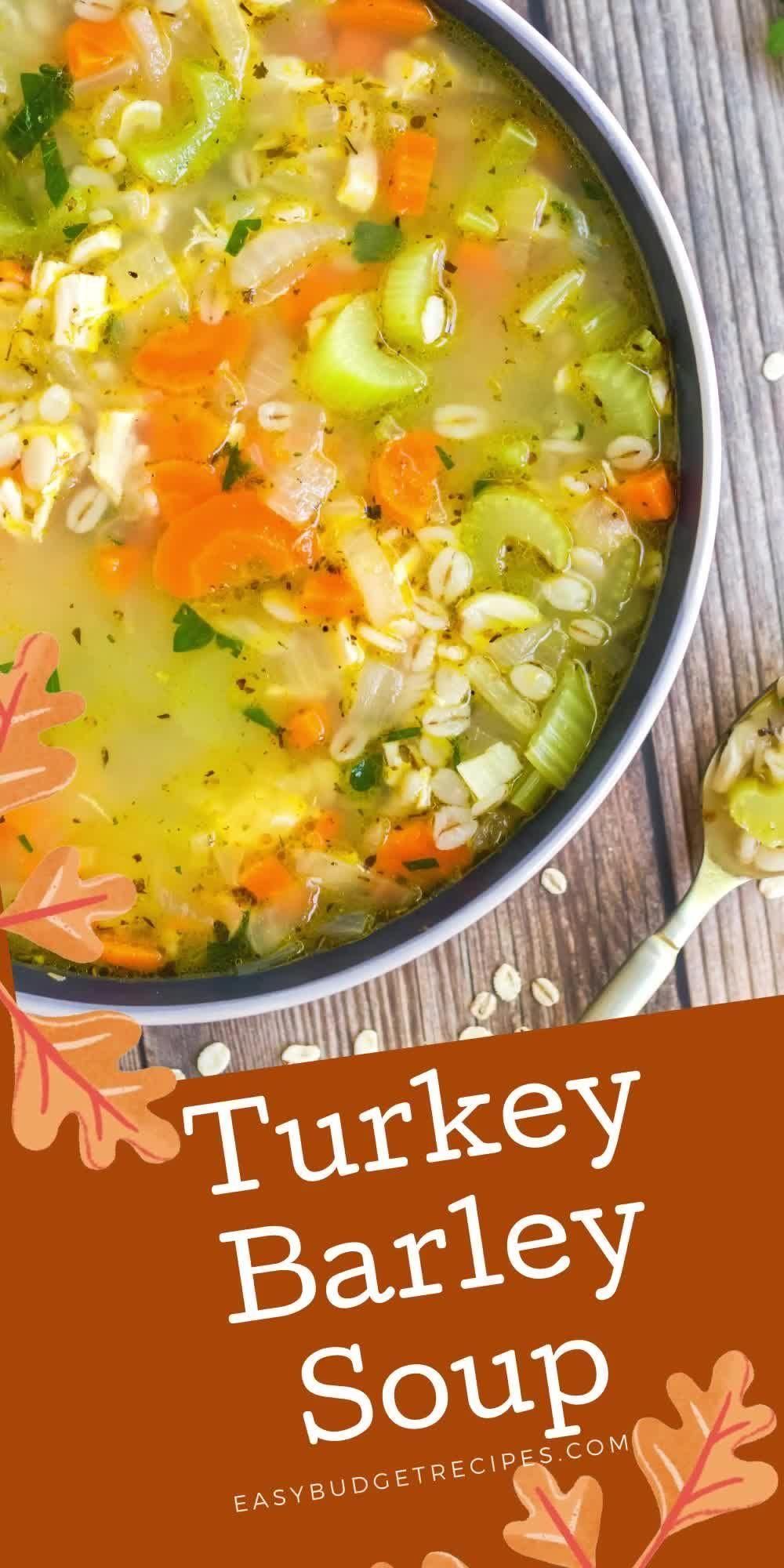 20 Minute Turkey Soup Recipe -   19 leftover turkey recipes healthy soup ideas