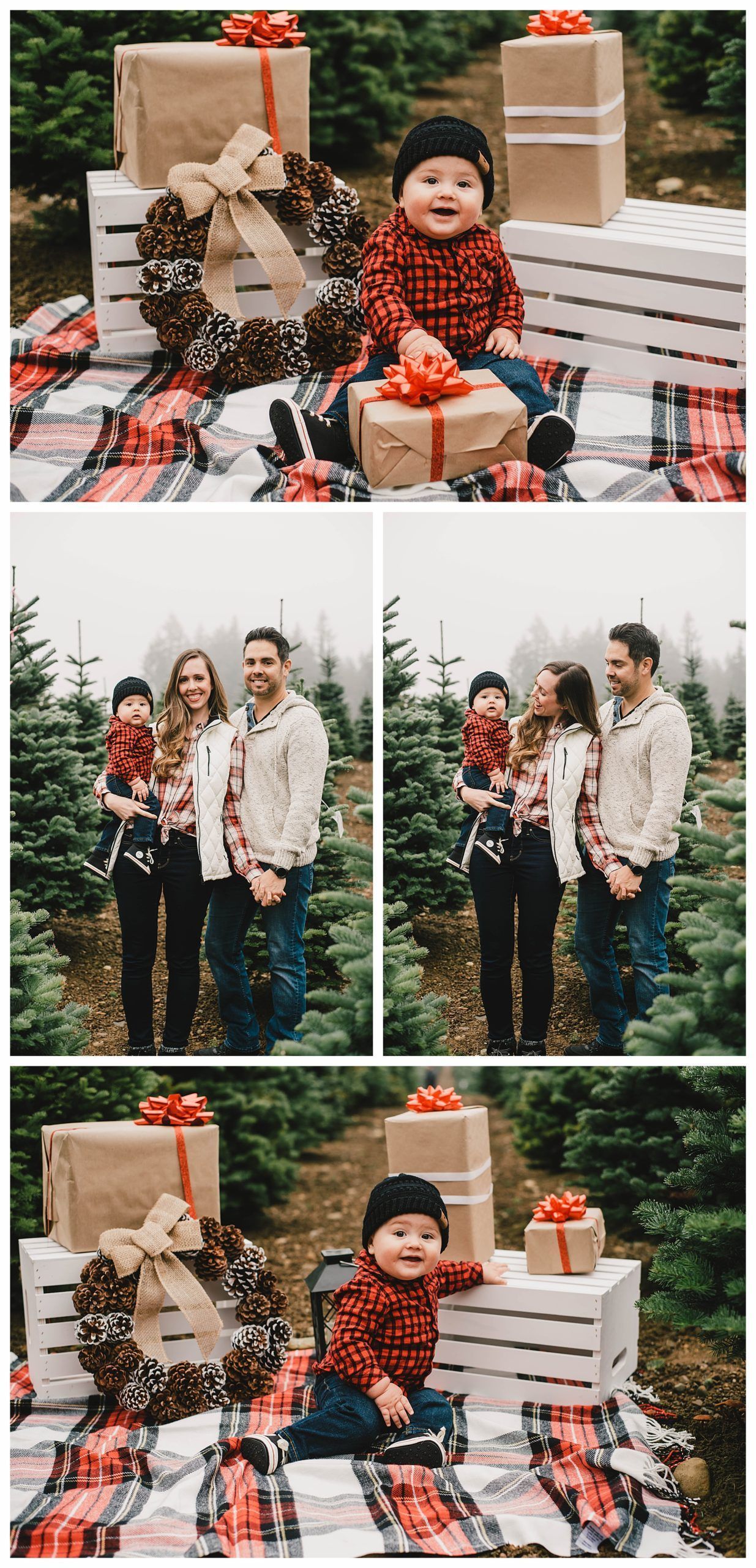 Kitsap County Couple Photographer | Hubert's Christmas Trees | Tree Farm mini sessions | Hernandez f -   Popular